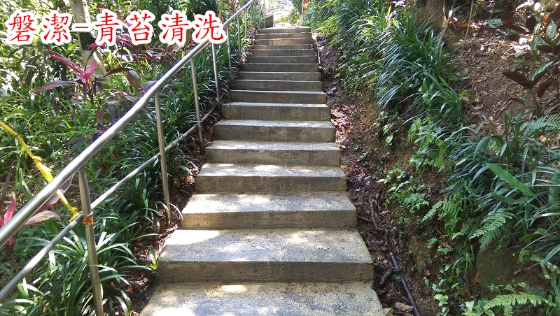 磐潔-登山步道-青苔清洗